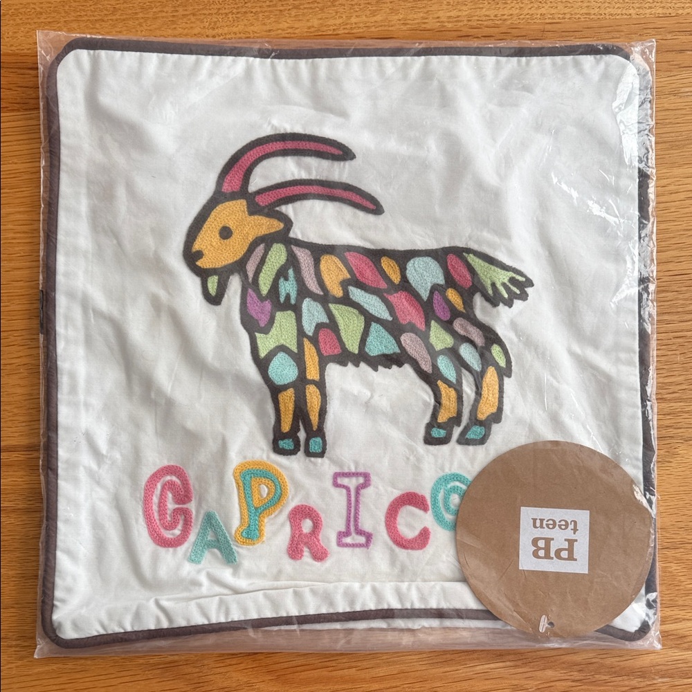 PB Teen Capricorn Sham + pillow insert